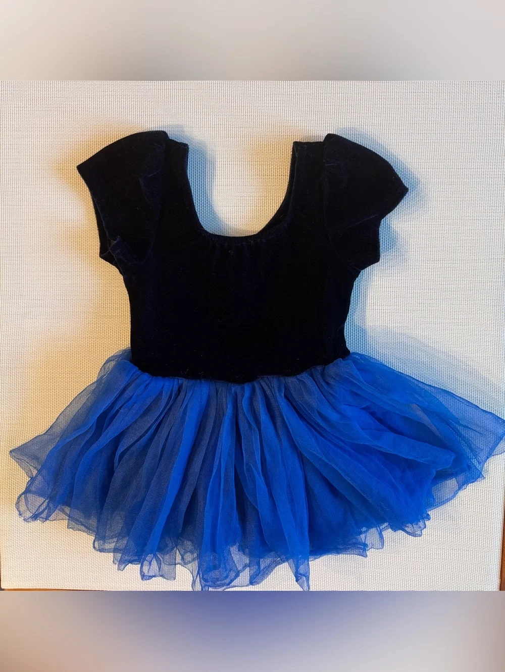 Miss Princess Girls Velvet Tulle Tutu Dress Costume Leotard Blue Size 3